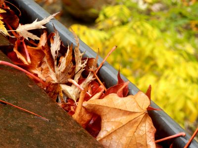 When to Schedule Gutter Services